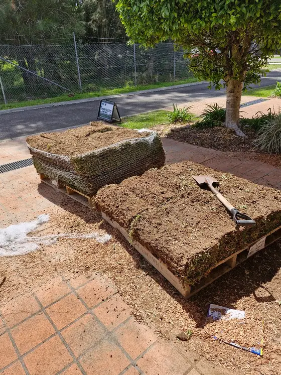 Fresh rolls of turf on pallets, ready to lay a new lawn